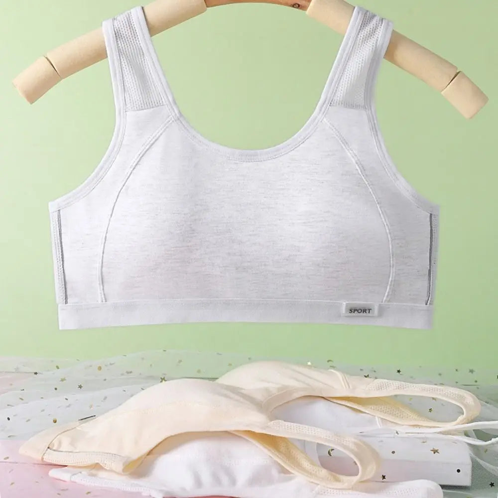 Sujetador inalámbrico de malla Simple para mujer, Tops, ropa interior, sujetador de realce, Bralettes íntimos dulces con almohadilla para chica
