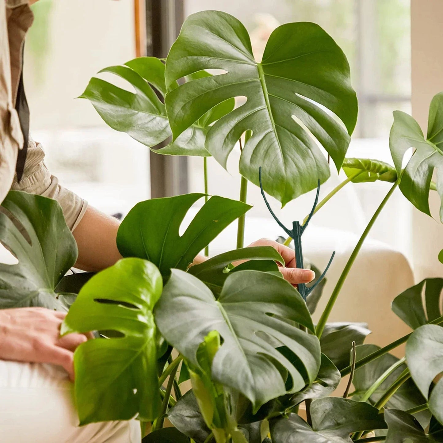 30/3 Uds. Soporte para plantas, estaca de vid trepadora, varilla de fijación para bonsái, soporte para estacas para plantas de jardín, soporte para flores para plantas en macetas