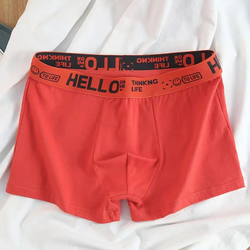 10 Uds. Boxer y calzoncillos para hombre, ropa interior de moda, Boxer y calzoncillos de alta elasticidad, pantalones cortos transpirables suaves para hombre, cómodos