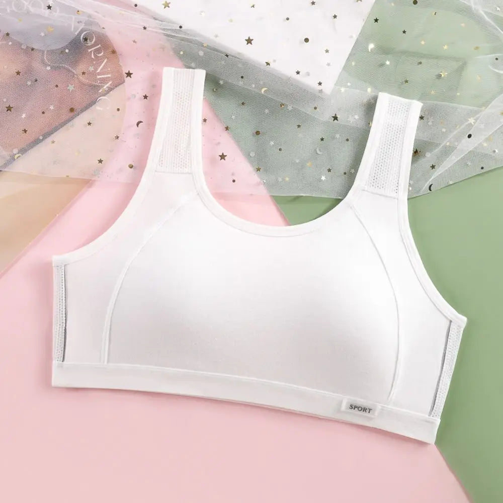 Sujetador inalámbrico de malla Simple para mujer, Tops, ropa interior, sujetador de realce, Bralettes íntimos dulces con almohadilla para chica
