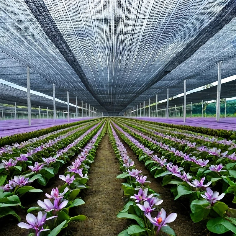 Malla de red de tela para sombra de protección solar 70%, tela de protección solar con ojales para plantas, protección térmica, Patio al aire libre