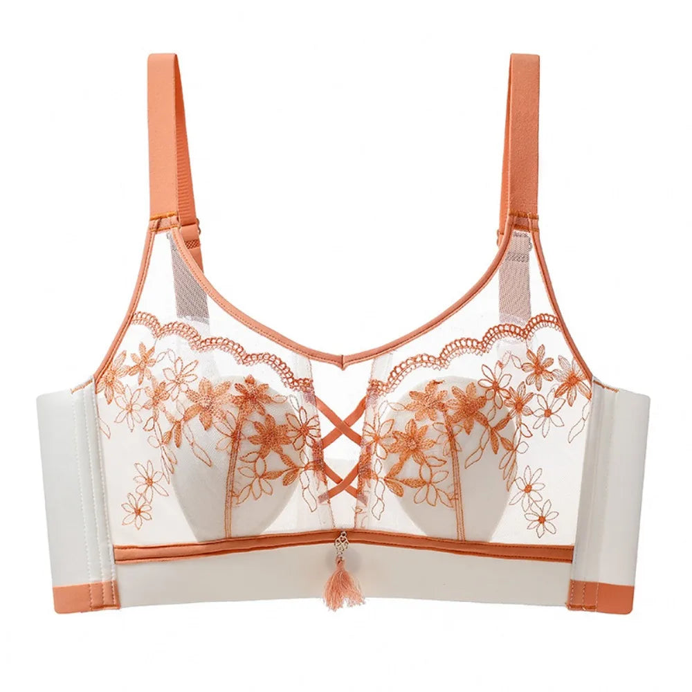 Sujetador de encaje con borlas y pechos recogidos para mujer, sujetador de malla fino a prueba de golpes, sin costuras, lencería transparente, ropa interior push-up
