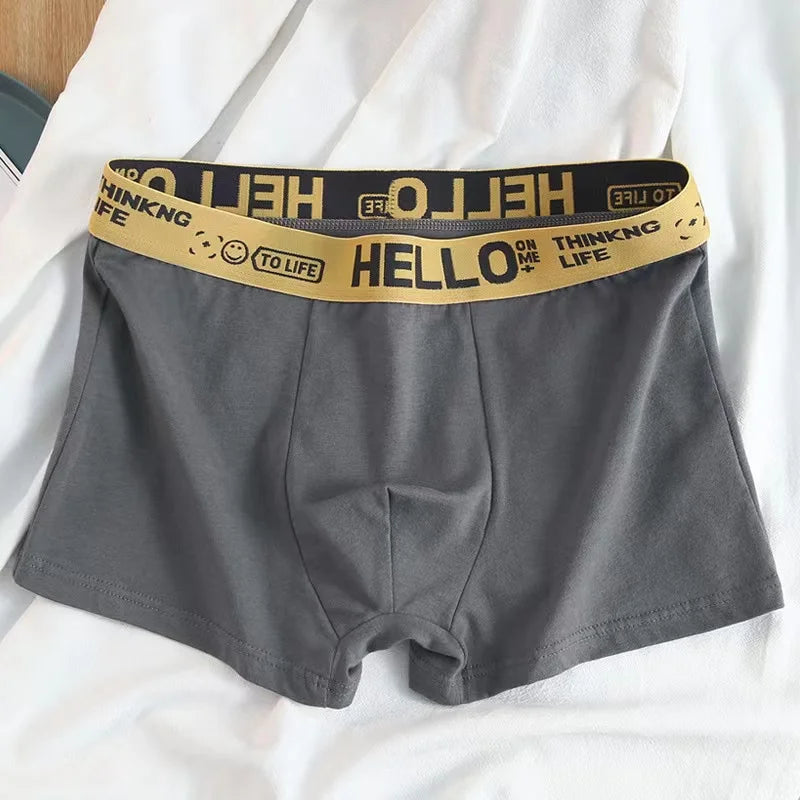 10 Uds. Boxer y calzoncillos para hombre, ropa interior de moda, Boxer y calzoncillos de alta elasticidad, pantalones cortos transpirables suaves para hombre, cómodos