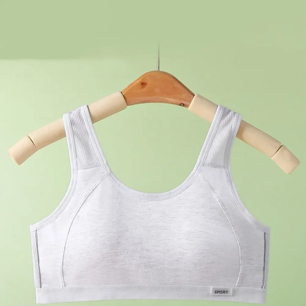 Sujetador inalámbrico de malla Simple para mujer, Tops, ropa interior, sujetador de realce, Bralettes íntimos dulces con almohadilla para chica