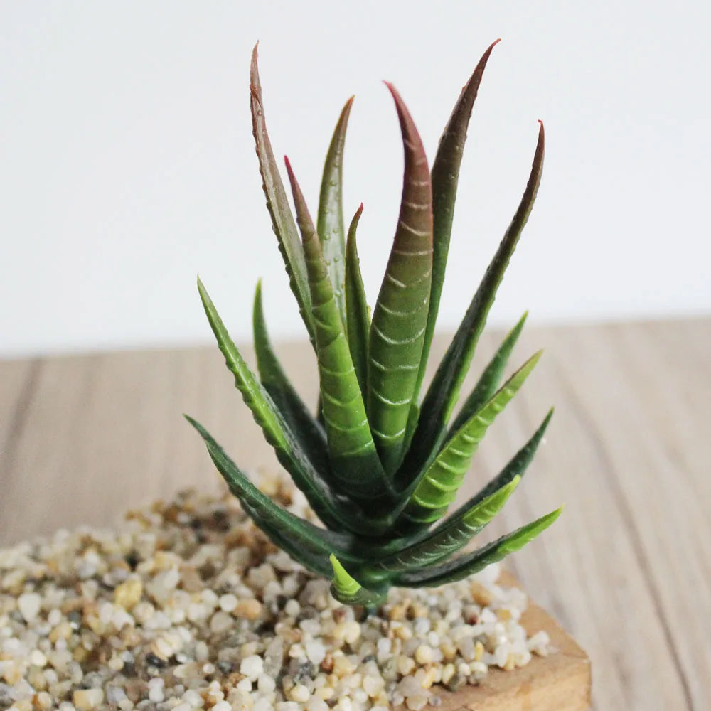 1 pieza 7X10cm planta suculenta Artificial jardÃƒÂ­n hogar DIY flor arreglo de plantas falsas accesorios dormitorio decoraciÃƒÂ³n de oficina