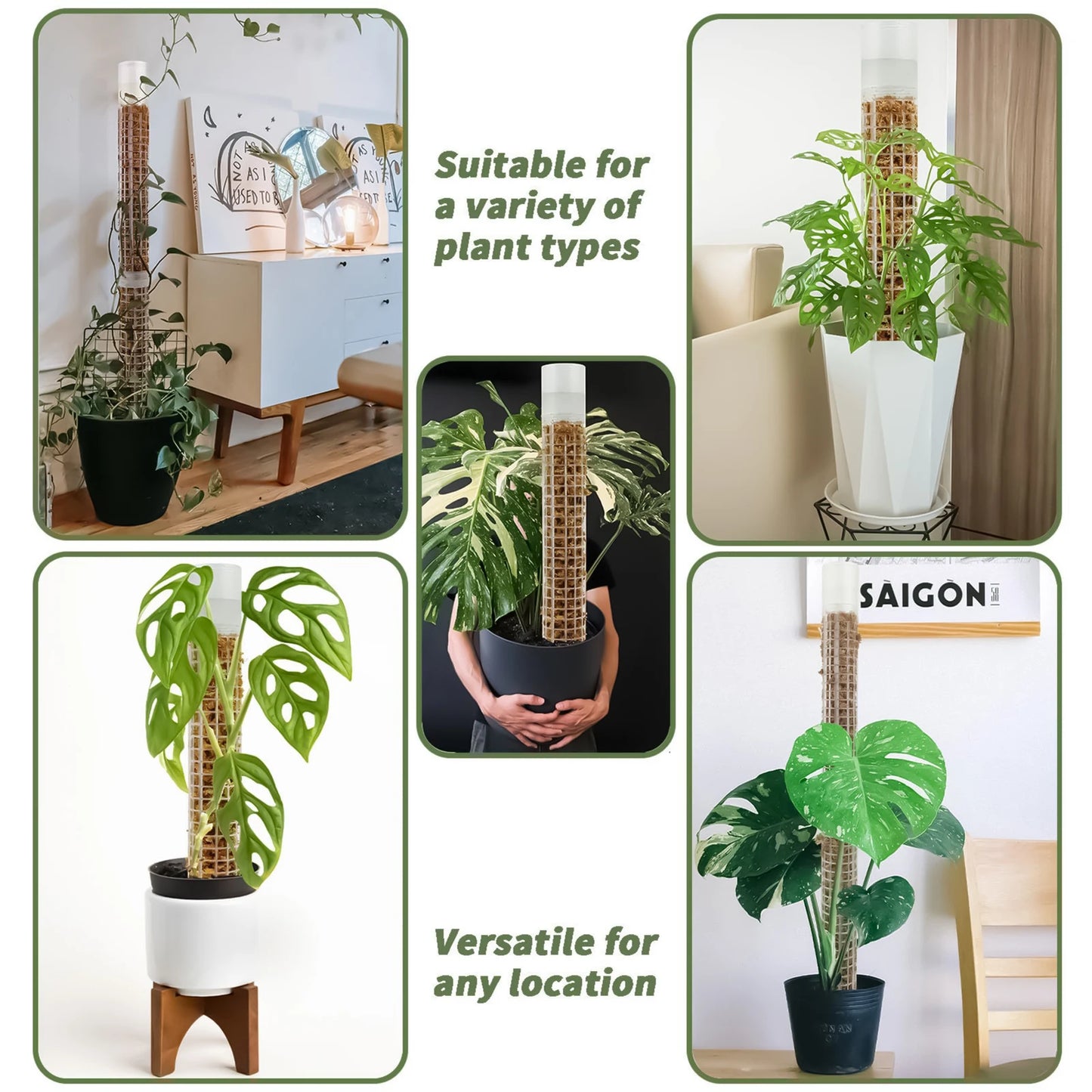 Jaulas de plástico para plantas, soportes para poste de musgo, riego automático, estructura de malla de poste de humedad continua para plantas trepadoras de jardín