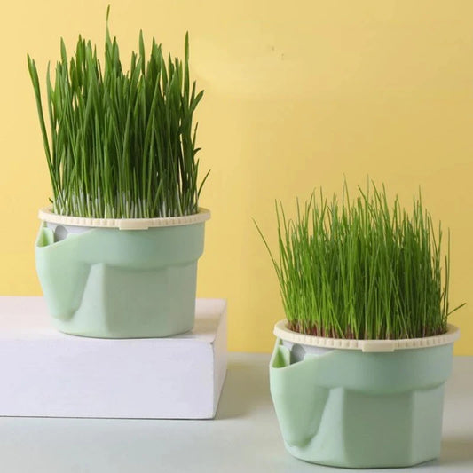 Nuevo 1 Uds. Plato de brotes para Gato, maceta para cultivo, planta hidropónica, hierba para gatos, germinación, digestión, plato de inicio, caja de cultivo para invernadero