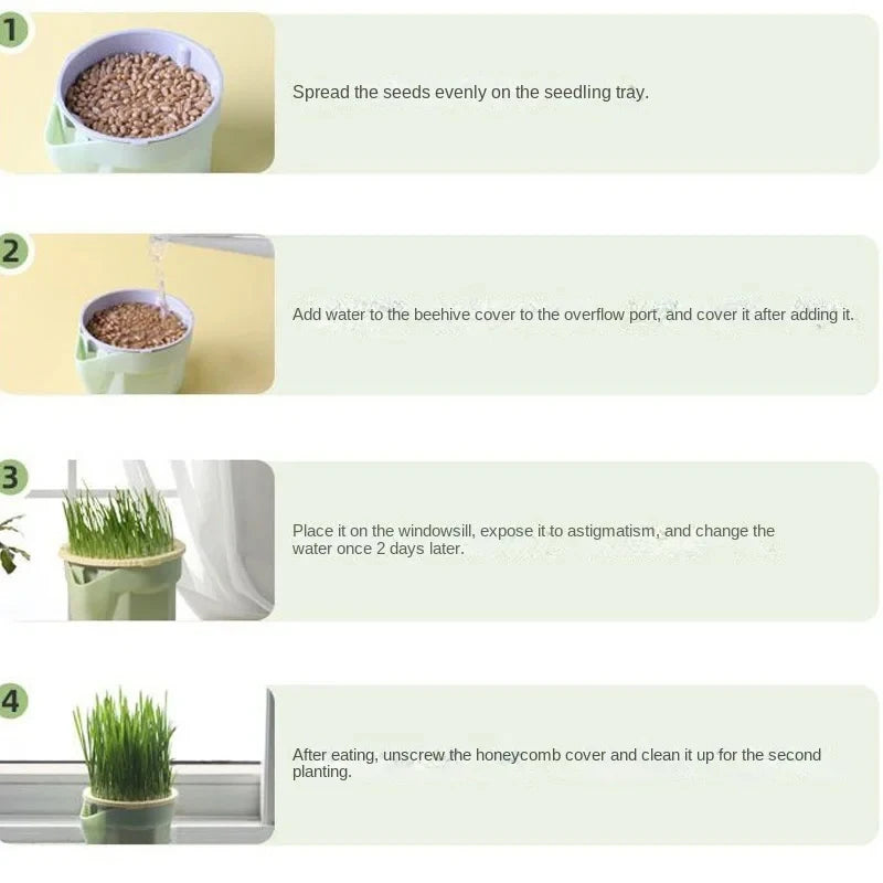 Nuevo 1 Uds. Plato de brotes para Gato, maceta para cultivo, planta hidropónica, hierba para gatos, germinación, digestión, plato de inicio, caja de cultivo para invernadero