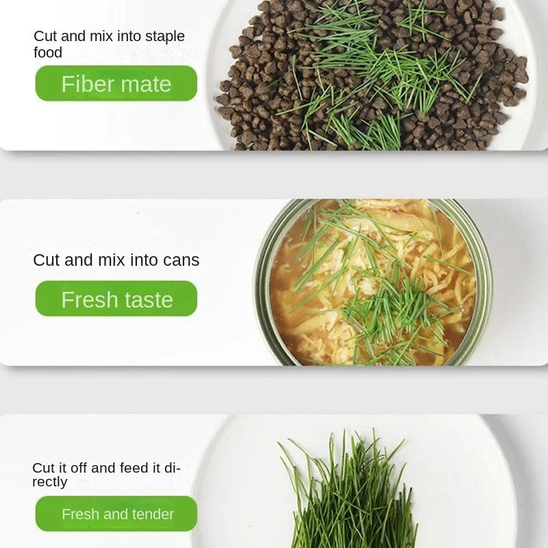 Nuevo 1 Uds. Plato de brotes para Gato, maceta para cultivo, planta hidropónica, hierba para gatos, germinación, digestión, plato de inicio, caja de cultivo para invernadero