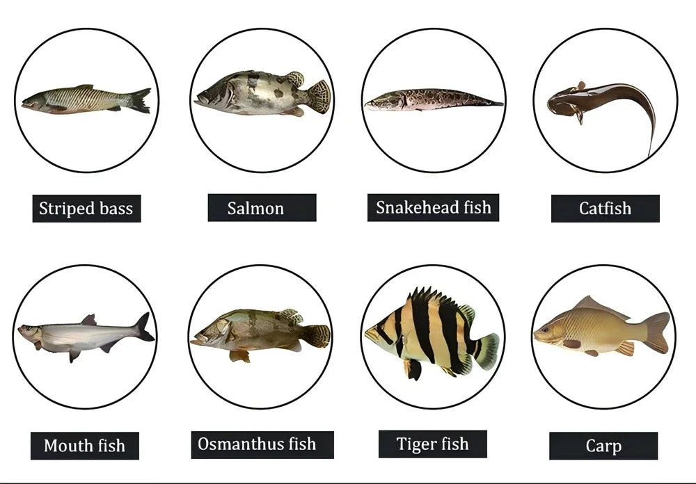 ZUKIBO-cebo de calamar suave para pesca, seÃ±uelo de pesca con curricÃ¡n, plantillas con cabeza de pulpo, plantilla de calamar UV luminosa de 60g para pesca en barcos de aguas profundas, cebo Wobblers