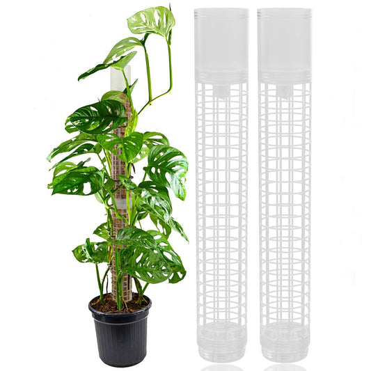 Jaulas de plástico para plantas, soportes para poste de musgo, riego automático, estructura de malla de poste de humedad continua para plantas trepadoras de jardín